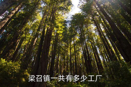 梁召鎮(zhèn)一共有多少工廠