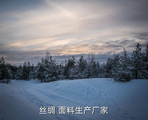 絲綢 面料生產(chǎn)廠家