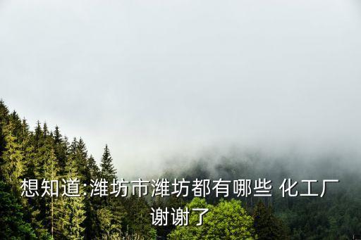 想知道:濰坊市濰坊都有哪些 化工廠謝謝了