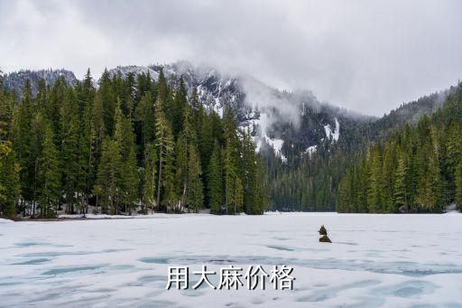 紡織用大麻價(jià)格