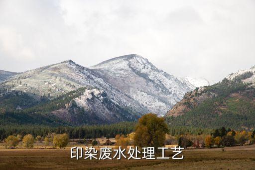 印染廢水處理工藝