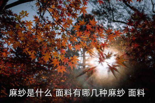 麻紗是什么 面料有哪幾種麻紗 面料