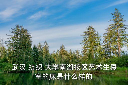  武漢 紡織 大學南湖校區(qū)藝術生寢室的床是什么樣的