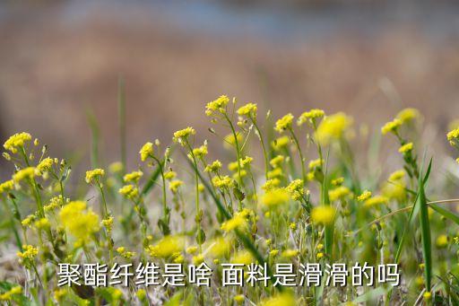 聚酯纖維是啥 面料是滑滑的嗎