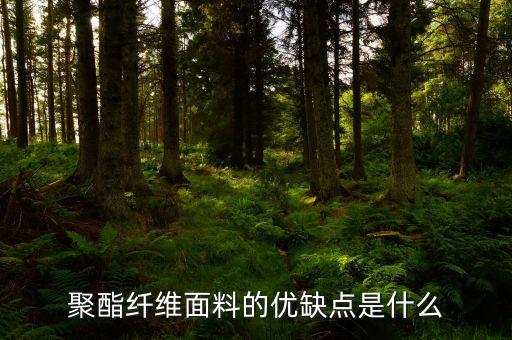 聚酯纖維面料的優(yōu)缺點是什么