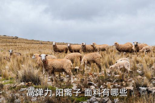 高彈力 陽離子 面料有哪些