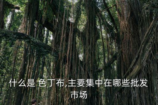 什么是 色丁布,主要集中在哪些批發(fā)市場