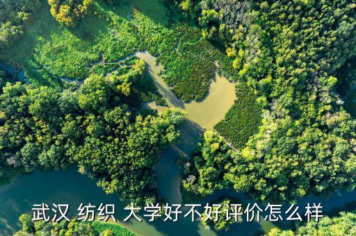 武漢 紡織 大學(xué)好不好評(píng)價(jià)怎么樣
