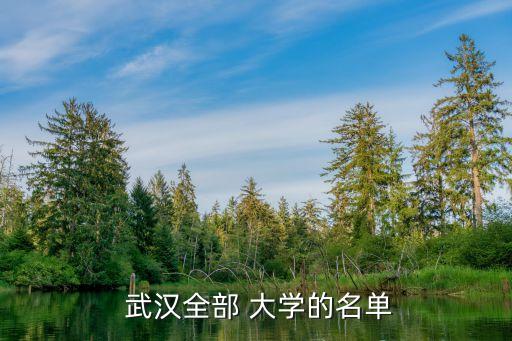  武漢全部 大學(xué)的名單