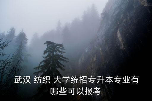 武漢紡織大學(xué)財(cái)務(wù)部