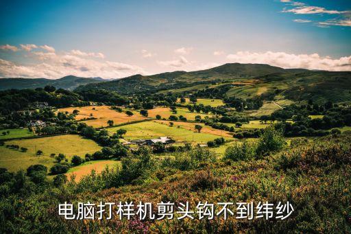 電腦打樣機剪頭鉤不到緯紗