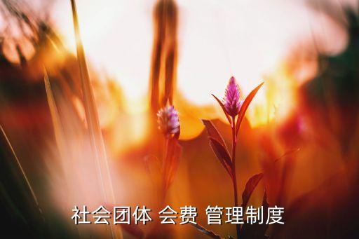 紡織協(xié)會會費管理辦法,中國資產(chǎn)評估協(xié)會會費管理辦法