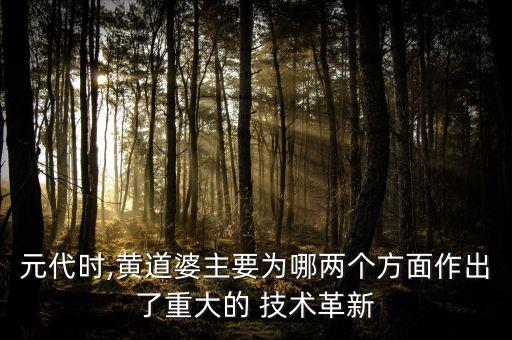元代時,黃道婆主要為哪兩個方面作出了重大的 技術(shù)革新