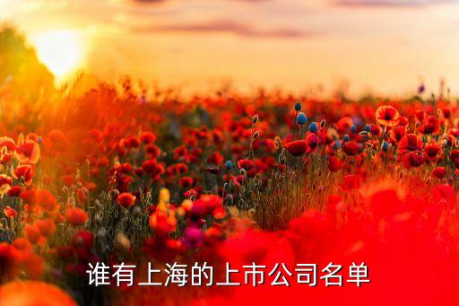 誰(shuí)有上海的上市公司名單