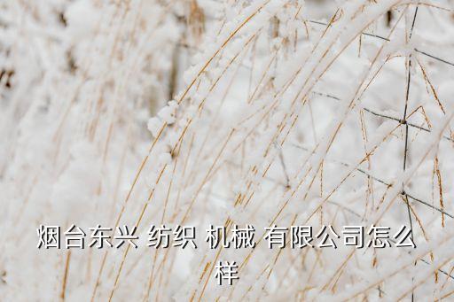 煙臺(tái)東興 紡織 機(jī)械 有限公司怎么樣