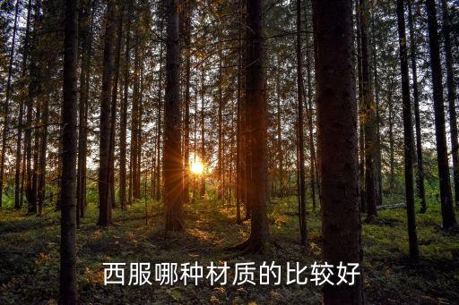  西服哪種材質(zhì)的比較好
