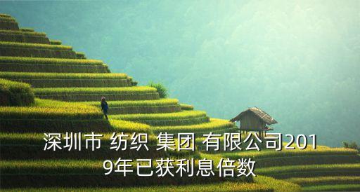深圳市 紡織 集團 有限公司2019年已獲利息倍數