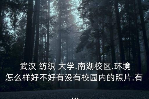  武漢 紡織 大學.南湖校區(qū).環(huán)境怎么樣好不好有沒有校園內的照片.有 ...