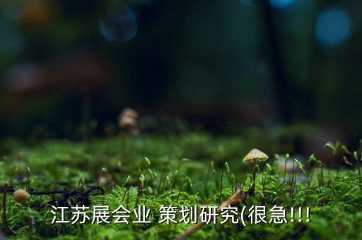 江蘇展會業(yè) 策劃研究(很急!!!