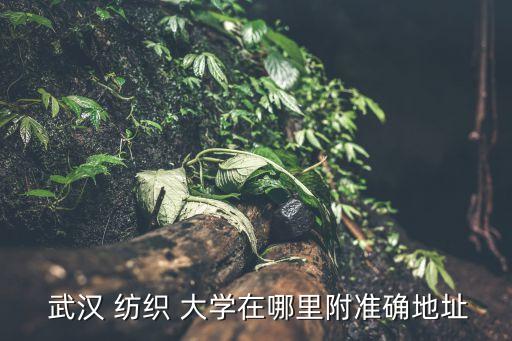 武漢紡織大學專業(yè)專科學校