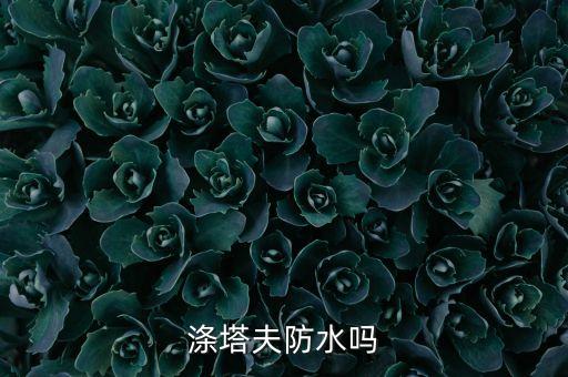 滌塔夫防水嗎