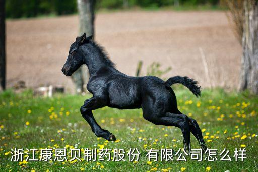 浙江康恩貝制藥股份 有限公司怎么樣