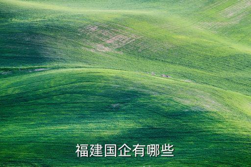 福建國企有哪些
