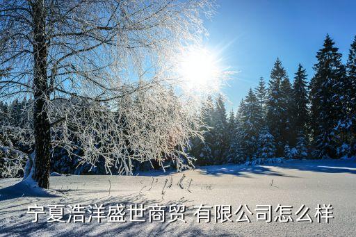  寧夏浩洋盛世商貿(mào) 有限公司怎么樣