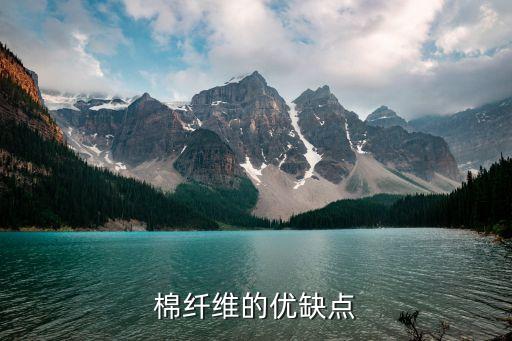 燙金棉面料缺點(diǎn),燙金面料如何才不掉粉