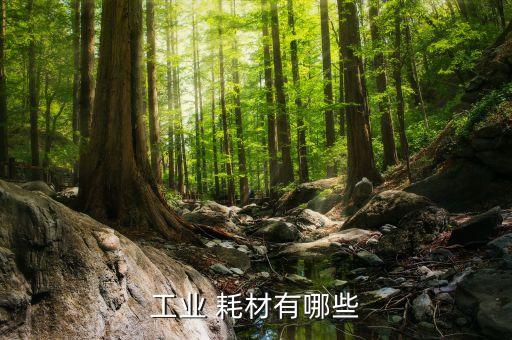 工業(yè) 耗材有哪些