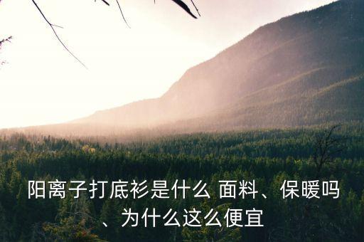  陽(yáng)離子打底衫是什么 面料、保暖嗎、為什么這么便宜