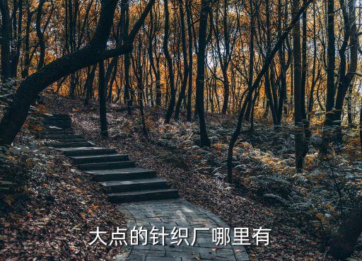 大點(diǎn)的針織廠哪里有