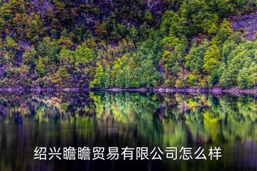 紹興瞻瞻貿(mào)易有限公司怎么樣