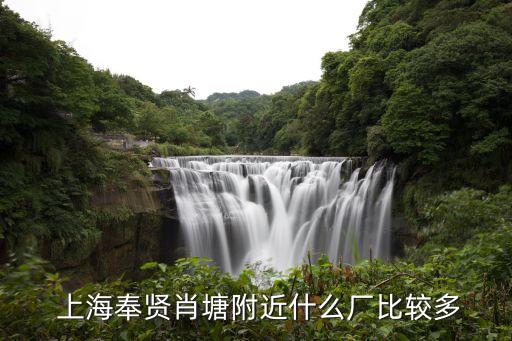  上海奉賢肖塘附近什么廠比較多