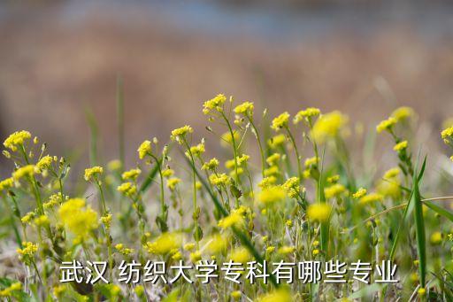 武漢紡織大學(xué)電子與電氣工程學(xué)院