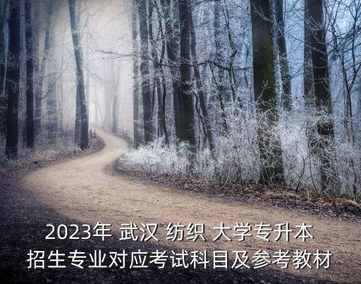 武漢紡織大學(xué)財務(wù)系統(tǒng)