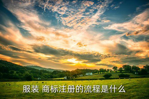 服裝 商標(biāo)注冊(cè)的流程是什么