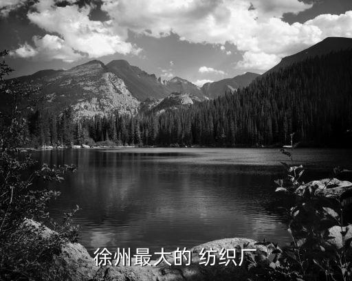 徐州最大的 紡織廠