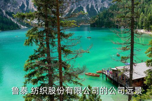  魯泰 紡織股份有限公司的公司遠(yuǎn)景