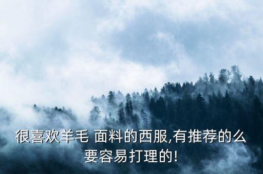 很喜歡羊毛 面料的西服,有推薦的么要容易打理的!