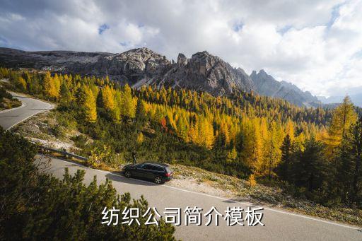  紡織公司簡(jiǎn)介模板