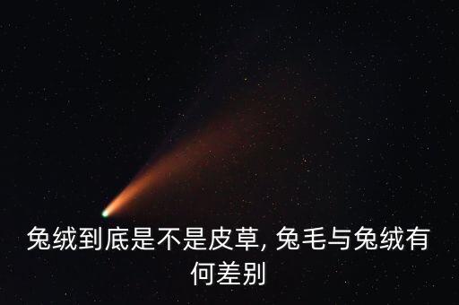 兔絨到底是不是皮草, 兔毛與兔絨有何差別