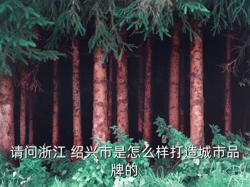 請(qǐng)問(wèn)浙江 紹興市是怎么樣打造城市品牌的