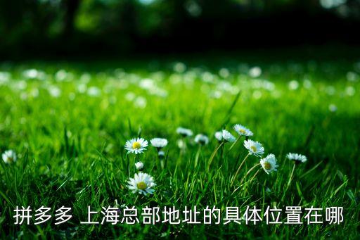 拼多多 上海總部地址的具體位置在哪
