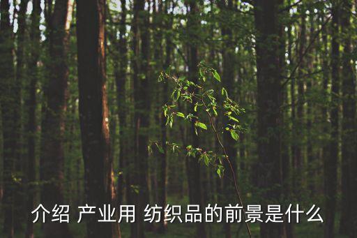 介紹 產(chǎn)業(yè)用 紡織品的前景是什么