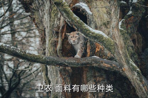 衛(wèi)衣面料批發(fā),衛(wèi)衣的面料和材質(zhì)介紹