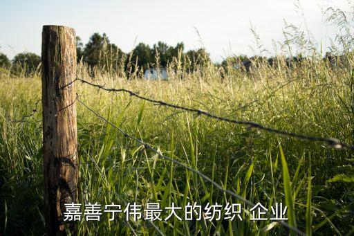 紡織業(yè)中國著名企業(yè),廣東紡織業(yè)企業(yè)排名