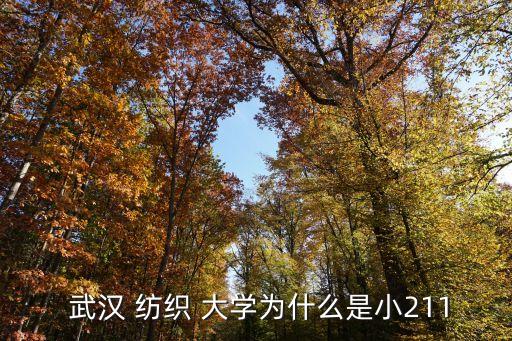  武漢 紡織 大學(xué)為什么是小211