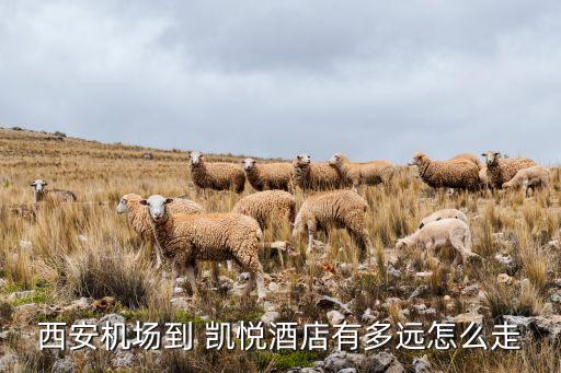 西安機(jī)場(chǎng)到 凱悅酒店有多遠(yuǎn)怎么走