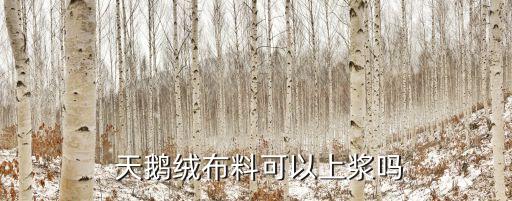  天鵝絨布料可以上漿嗎